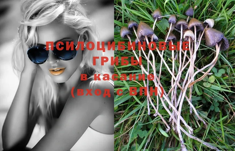 Псилоцибиновые грибы MAGIC MUSHROOMS  Буинск 